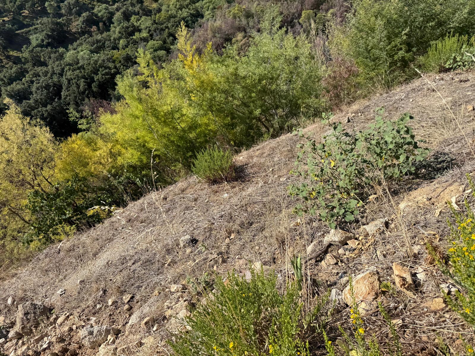 TERRAIN CONSTRUCTIBLE AVEC VUE MER PANORAMIQUE - MANDELIEU - 4