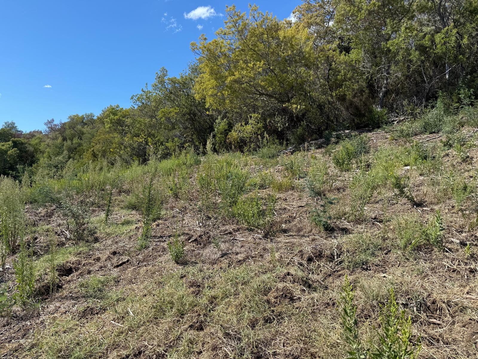 TERRAIN CONSTRUCTIBLE AVEC VUE MER PANORAMIQUE - MANDELIEU - 5